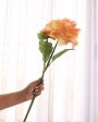 Beautiful Real Touch Artificial Flower |1.75 feet | Vase Not Included For Cheap