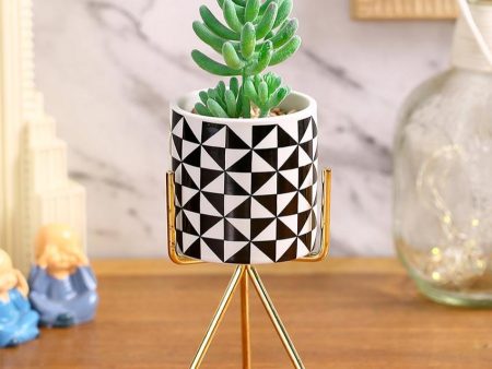 Delight Succulents Artificial Plant with Ceramic Pot & Metal Tripod Stand | 10 inches For Discount