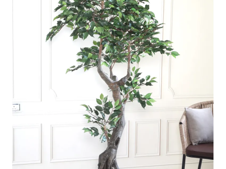 Decorative Ficus Artificial Plant With Black Plastic Pot | 6 Feet Sale