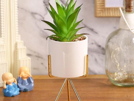 Urban Chic Succulents Artificial Plant with Ceramic Pot & Metal Tripod Stand | 10 inches Hot on Sale