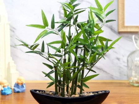 Bamboo Artificial Bonsai Plant With Ceramic Pot | 1 feet , 1.25 feet For Sale