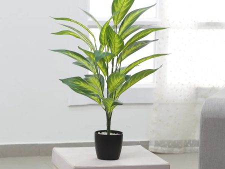 Artificial Camille Iceton Plant With Black Pot | 2.3 feet Cheap