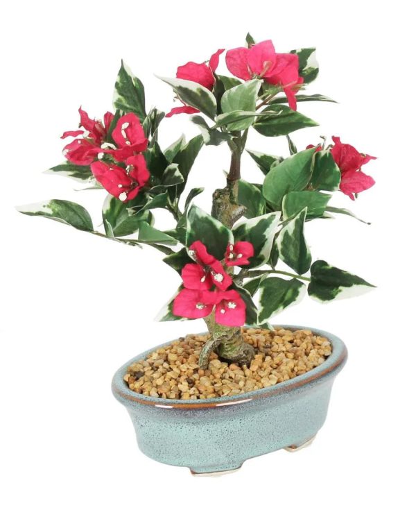 Bougainvillea Artificial Bonsai Plant with Ceramic Pot & Metal Stand | 9 inches For Cheap