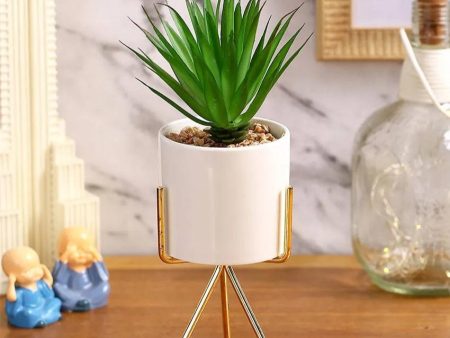 Cityscape Succulents Artificial Plant with Ceramic Pot & Metal Tripod Stand | 10 inches Online