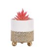 Charming Succulents Artificial Plant with Ceramic Pot & Metal stand | 6 inches Online Sale