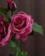 Andrea Silicone Rose Artificial Flower | 2.5 feet | Vase Not Included For Cheap