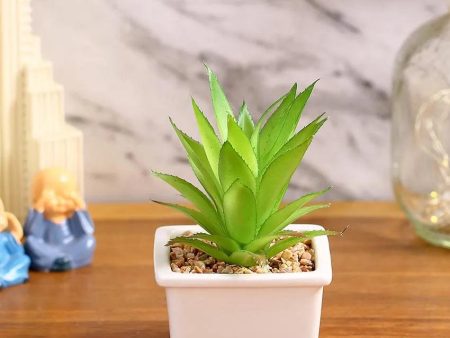 Refined Succulents Artificial Plant with Ceramic Pot | 6 inches Online now