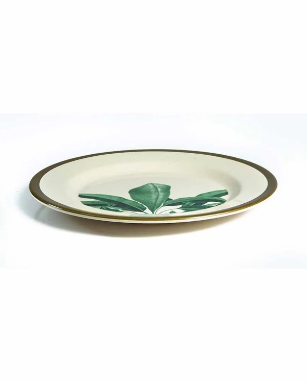 Eco-Friendly Biodegradable Green Leaves Dinner Plates | Set Of 8 For Discount