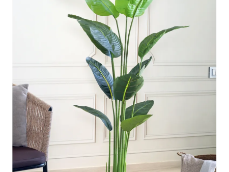 Banana Leaves Artificial Plant With Black Plastic Pot | 6 Feet For Cheap