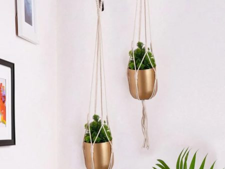 Golden Metal Planter Pot With Macrame Plant Hangers | Pack Of 4 | Plant Not Included Supply