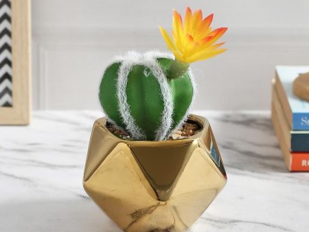 Retro Succulents Artificial Plant with Ceramic Pot | 6 inches Hot on Sale