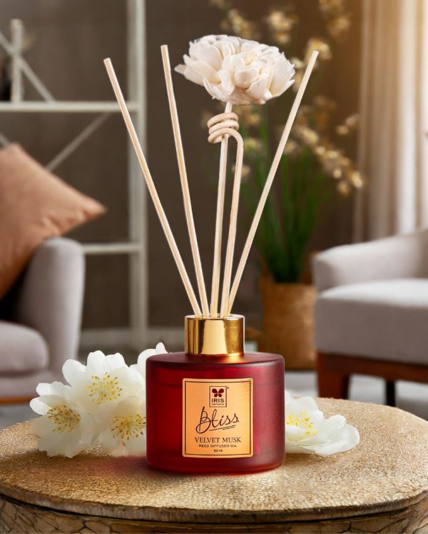 Bliss Reed Diffuser With Oil And Reed Stikcs | 100ml Discount