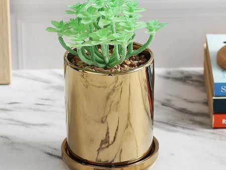 Whimsical Succulents Artificial Plant with Ceramic Pot & Coaster | 6 inches Online now