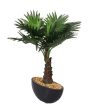 Bismarckia Artificial Bonsai Plant with Ceramic Pot | 1 feet Fashion