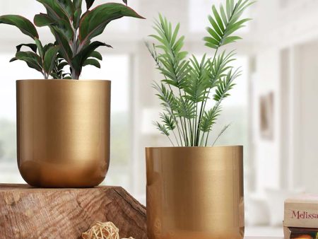 Golden Chic Cylindrical Metal Mini Planter | Set of 2 | Plant Not Included Supply