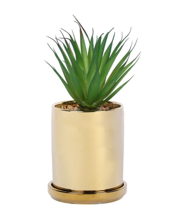 Artisanal Succulents Artificial Plant with Ceramic Pot & Coaster | 7 inches Online now