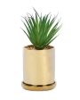 Artisanal Succulents Artificial Plant with Ceramic Pot & Coaster | 7 inches Online now