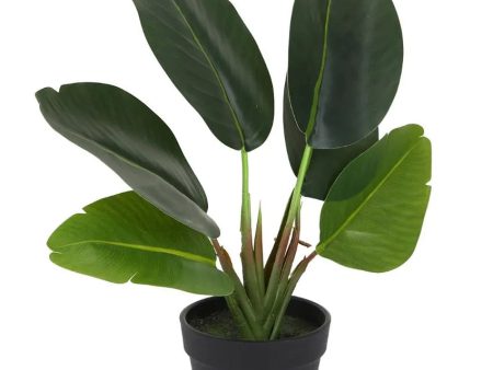 Real Touch Banana Artificial Bonsai Plant with Plastic Pot | 1.25 feet Cheap