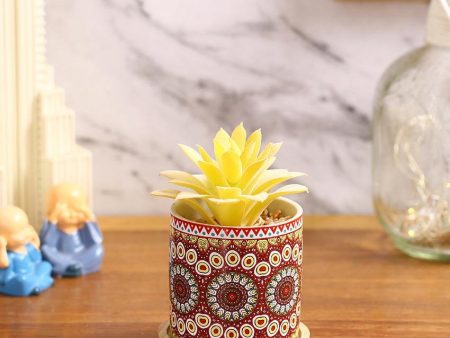 Beachy Succulents Artificial Plant with Ceramic Pot & Wooden Coaster | 5 inches Discount