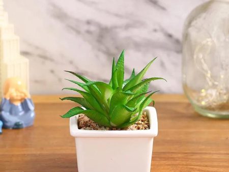 Chic Succulents Artificial Plant with Ceramic Pot | 5 inches For Sale