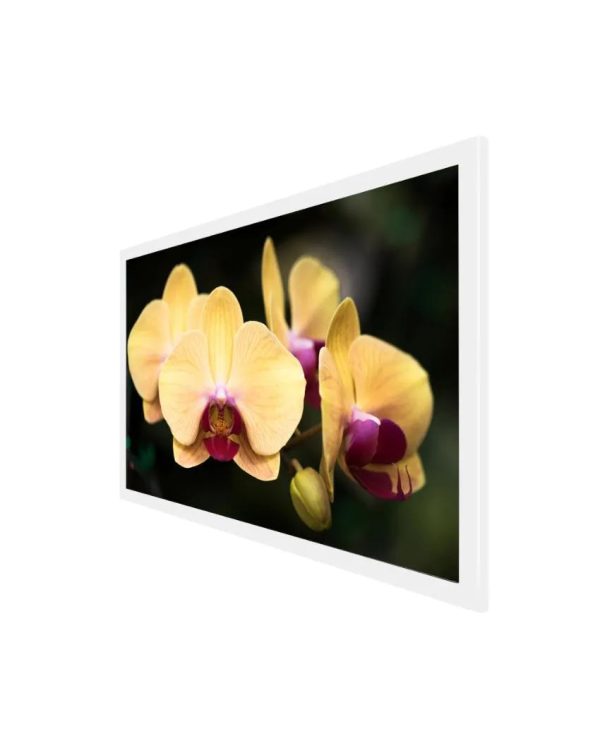 Blooming Yellow Orchid Canvas Wall Painting Online