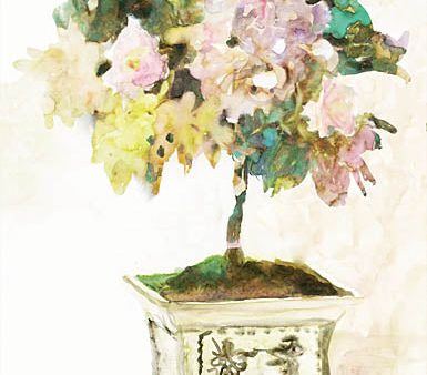 SDS467 - Topiary in Antique Vase - 12x18 on Sale