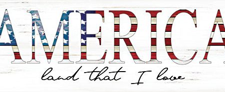 CIN2019A - America Land That I Love - 36x12 Hot on Sale