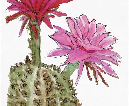 SDS216 - Cactus Flower 2    - 12x16 For Discount