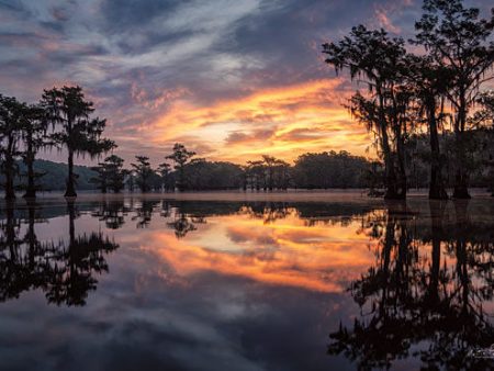 MPP605 - Sunrise in the Swamps - 18x12 Hot on Sale